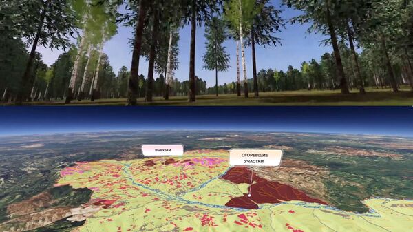  VR-визуализация таксационных характеристик леса на основе космических снимков для инвестиционной оценки лесного участка