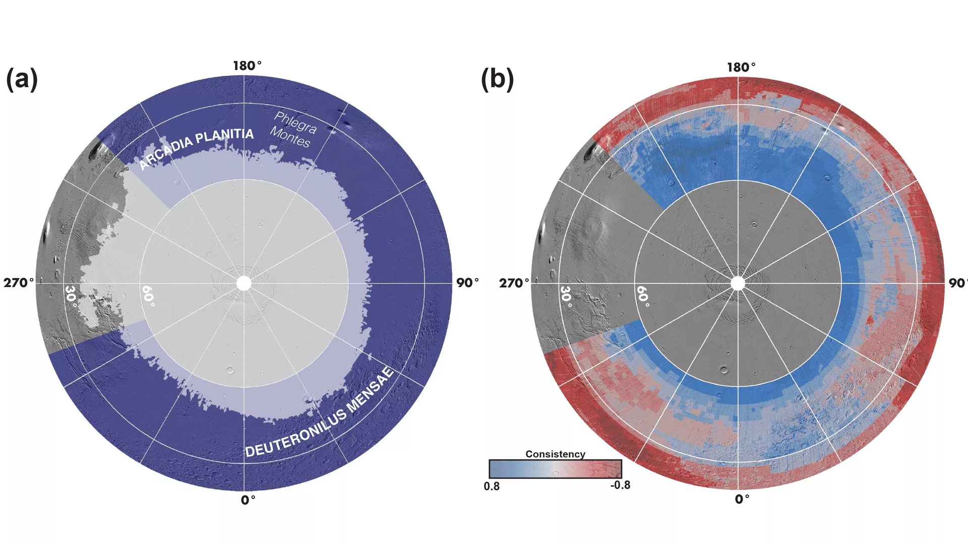 Карты северной полярной области Марса. Слева: серым — зона устойчивости льда, фиолетовым — области исследования SWIM. Справа: степень согласованности различных методов, подтверждающих наличие (синим) или отсутствие (красным) погребенного льда - РИА Новости, 1920, 09.02.2021