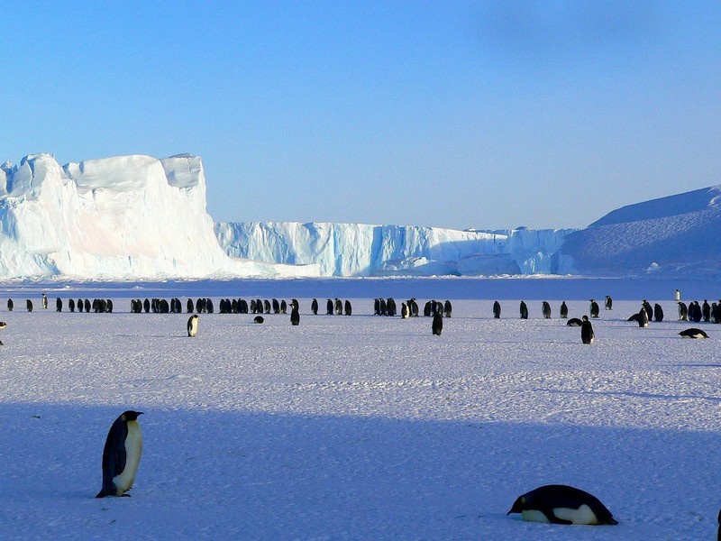 Антарктида - это 80 % мировых запасов пресной питьевой воды.