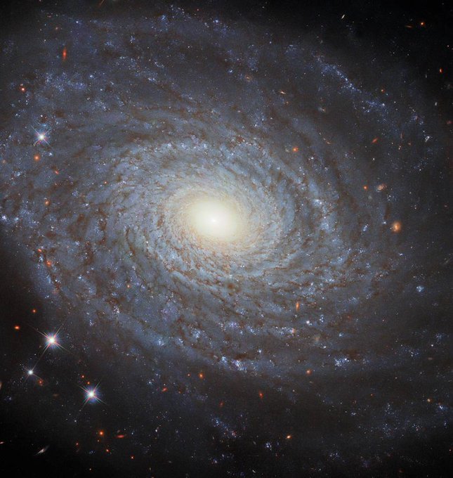 This image features the spiral galaxy NGC 691, using Hubble's Wide Field Camera 3 (WFC3).