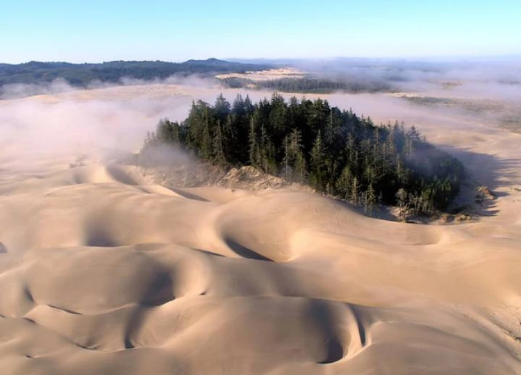 Оазис в Орегон-Дьюнс: подобные пейзажи вдохновили Герберта на инопланетные фантазии. height=100% width=100%
