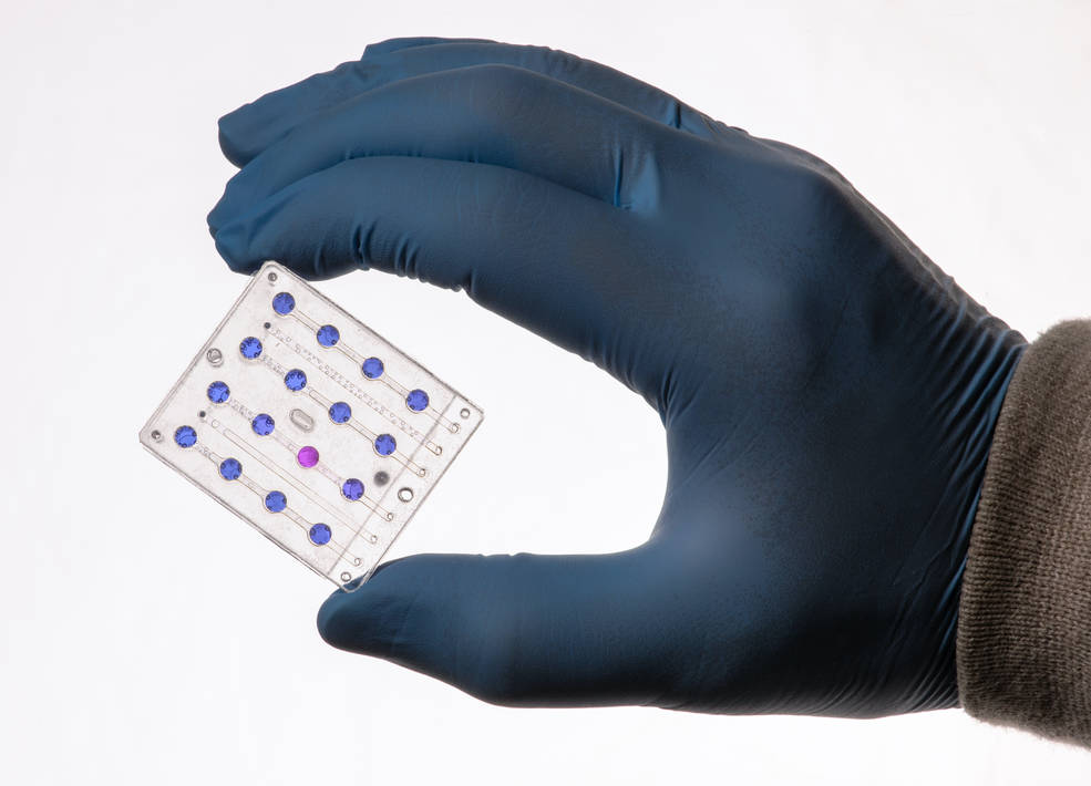 One of BioSentinel's microfluidic cards that will be used to measure the impact of radiation on yeast cells.