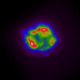 This image from NASA's Imaging X-ray Polarimetry Explorer maps the intensity of X-rays coming from the observatory's first target, the supernova Cassiopeia A.