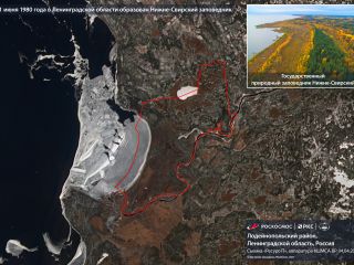 11 июня 1980 года — образован Нижне-Свирский заповедник