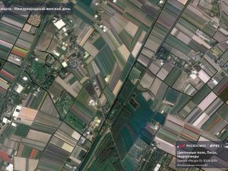 8 марта — Международный женский день