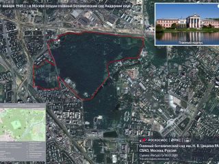 21 января 1945 г. - в Москве создан главный Ботанический сад