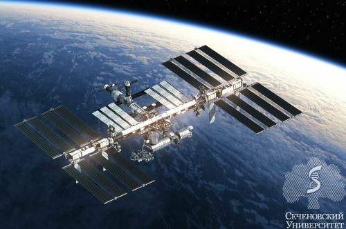 Ученые Сеченовского Университета приступили к изучению экспериментальных образцов с космической орбиты&nbsp;