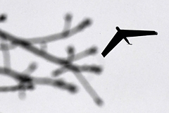 В России разработают «гуманный» беспилотник для «изнурения противника»