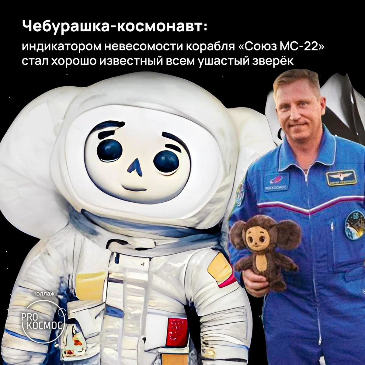Чебурашка-космонавт: индикатором невесомости корабля «Союз МС-22» стал хорошо известный всем ушастый зверёк⁠⁠ height=1200px width=1200px