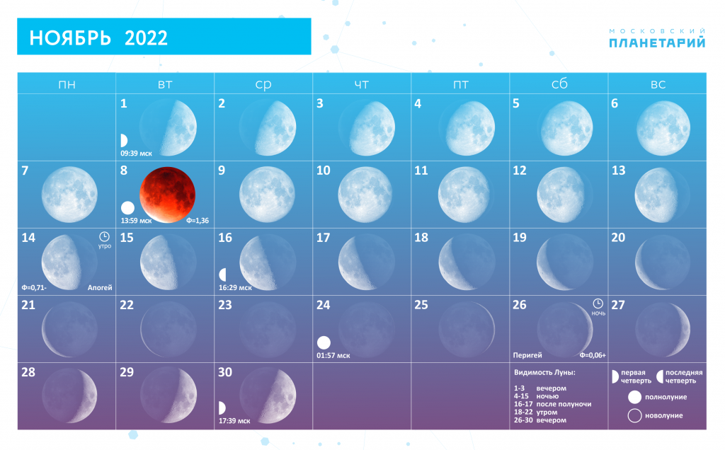 Какая луна будет ноября. Луна в ноябре. Луна в ноябре 2022. Какая сейчас Луна. 0 Видимость Луны.