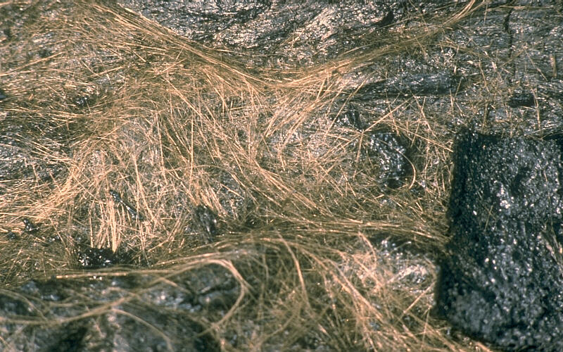 Волосы Пеле. Вулкан Килауэа, о. Гавайи, 1984 г..