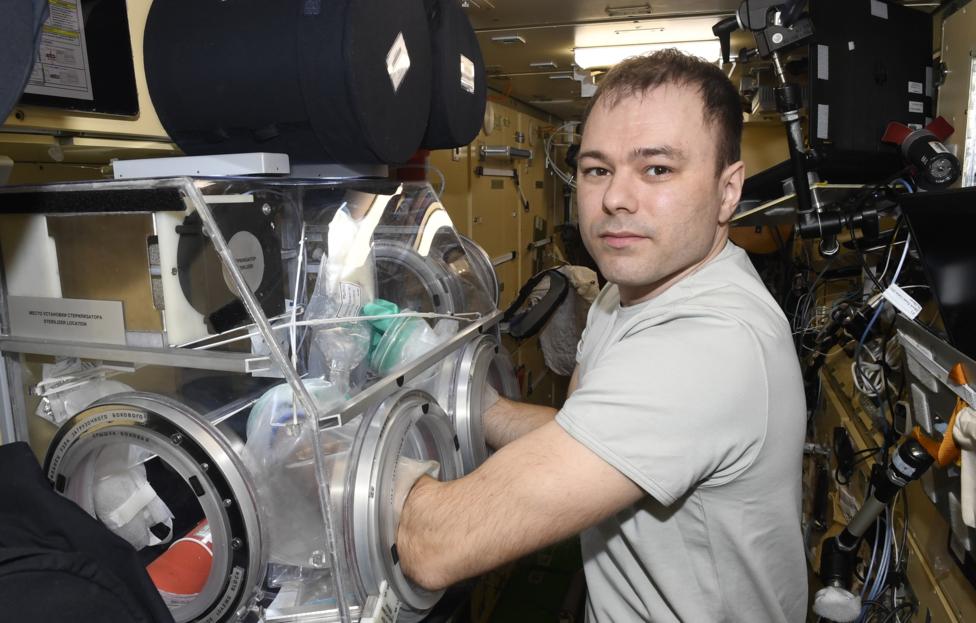Космонавты на МКС начали готовить пробиотик