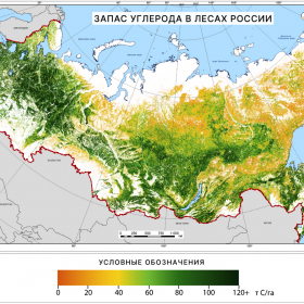 Запас углерода в лесах России, 2021 г. Данные ИАС «Углерод-Э»