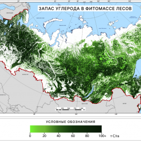 Запас углерода в фитомассе лесов России, 2021 г. Данные ИАС «Углерод-Э»