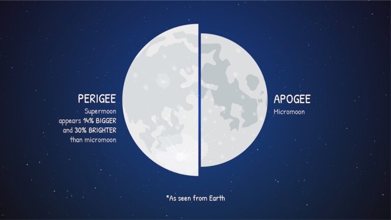 Разница в размере видимого диска Луны при суперлунии и при микролунии может достигать 14 процентов / © Wikimedia Commons