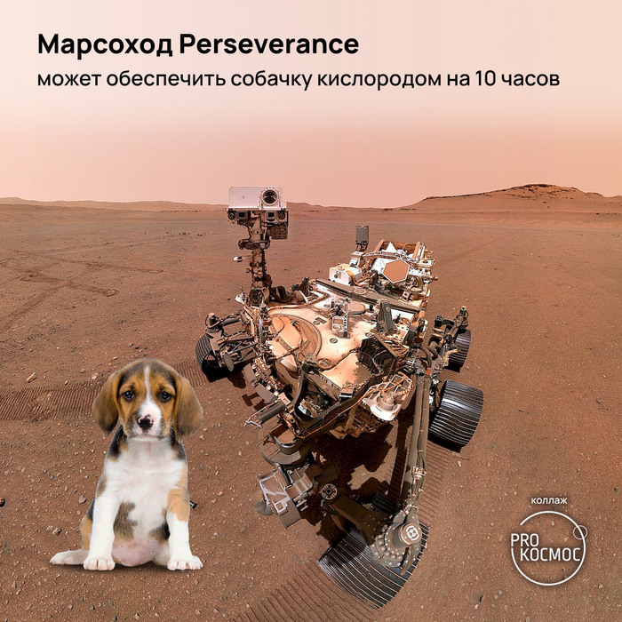 Марсоход Perseverance может обеспечить собачку кислородом на 10 часов Космос, Изобретения, Марс, Perseverance, Дыхание, Кислород, Колонизация Марса, Длиннопост