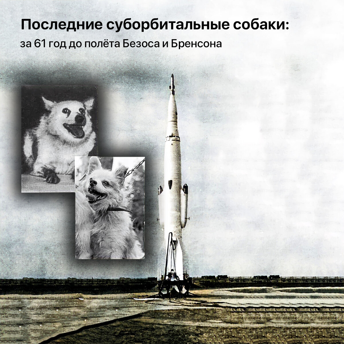 16 сентября 1960 года с полигона Капустин Яр состоялся запуск геофизической ракеты Р-2А, на борту которой находились собаки Пальма-2 и Малёк. height=1200px width=1200px