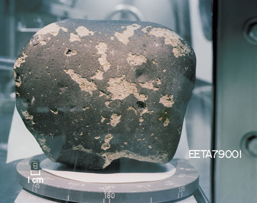 Марсианский метеорит EETA79001