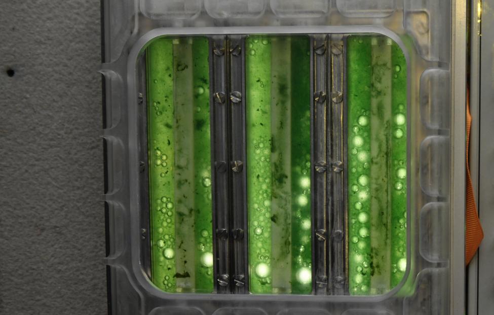 Иван Вагнер/ Роскосмос/ ТАСС