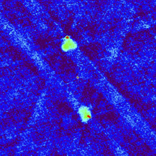 Радиоизображение квазара SRGA J2306+1556 по данным обзора VLASS на частоте 3 ГГц (размер кадра 6.5 угловых минут). Крест в центре обозначает положение оптического источника. Верхняя и нижняя красные точки соответствуют «горячим» пятнам (областям торможения джетов) в протяженных «радиоушах», показанных зеленым цветом
