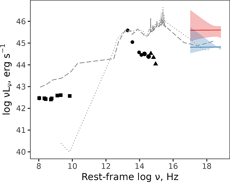 Спектральное распределение энергии квазара SRGA J2306+1556. В рентгеновской области спектра (правая часть графика) синяя и красная области отражают два состояния объекта — низкое и высокое. Пунктирная и штриховая линии – шаблоны спектров типичных квазаров первого типа (радиотихих и радиогромких). Почти все оптические и инфракрасные измерения для SRGA J2306+1556 лежат ниже этих шаблонов из-за сильного поглощения излучения пылевым тором. Изображение из статьи G.S. Uskov et al, MNRAS, 2025