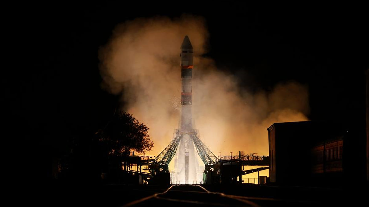 Долетались до мышей