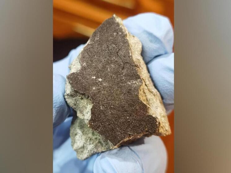 Ученые ГЕОХИ РАН рассказали, как нашли осколки метеорита, упавшего 27 октября