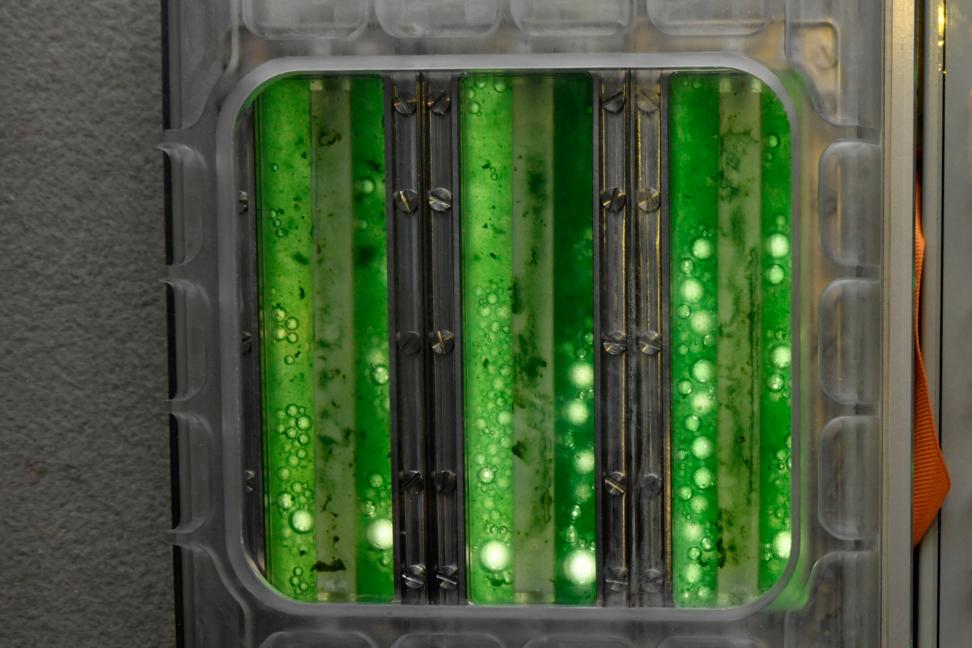 Иван Вагнер/ Роскосмос/ ТАСС