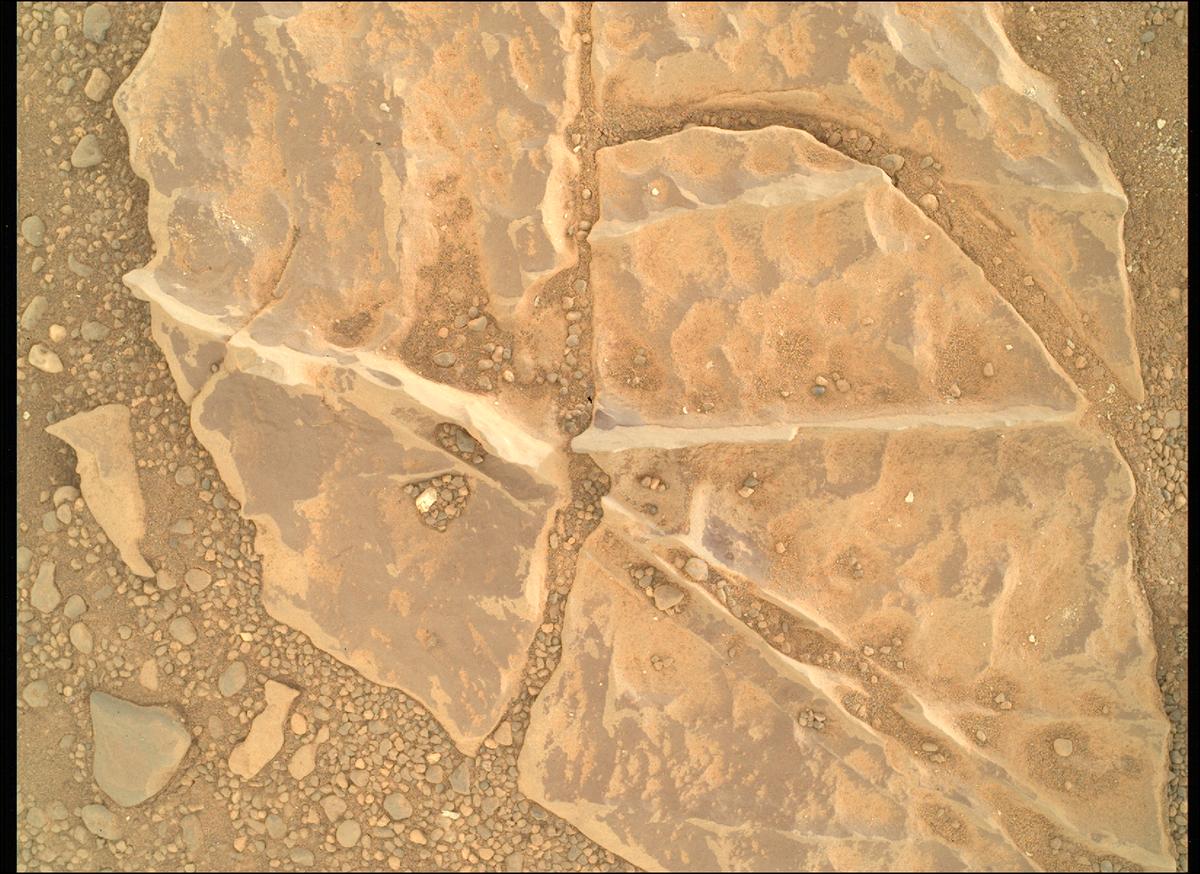 This image was taken by SHERLOC_WATSON onboard NASA's Mars rover Perseverance on Sol 1770