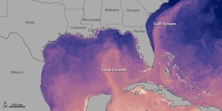 Океан залив ответ. Луизиана мексиканский залив. Атлантический океан на карте. Залив Карпентария. Gulf Stream масло.